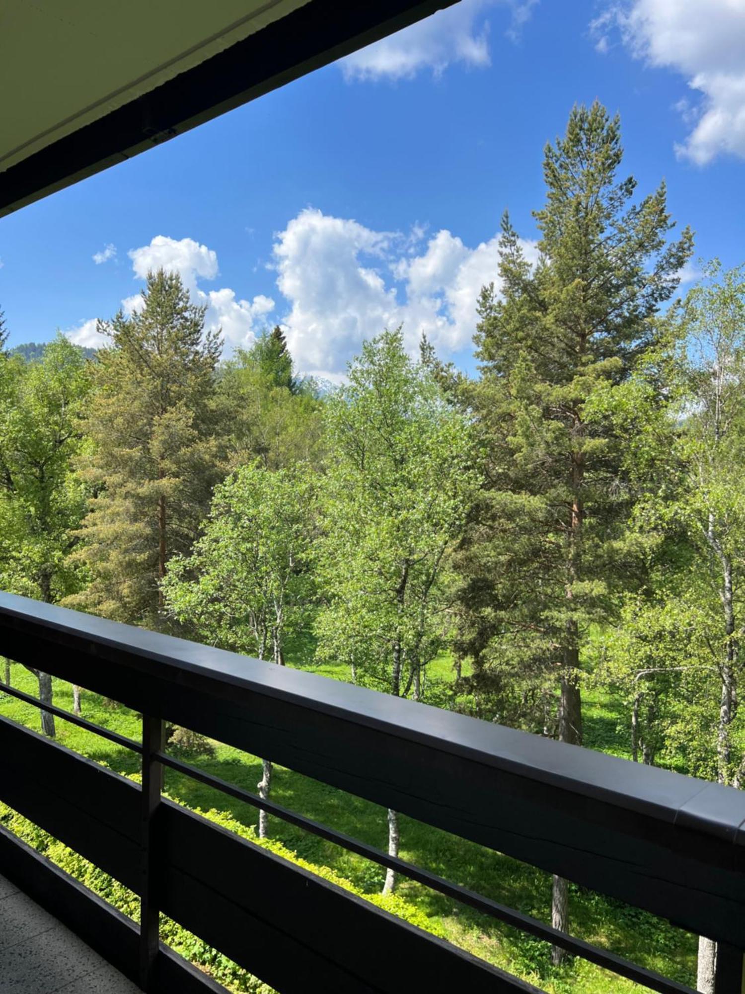 Appartementhaus Birkenwald Зеефельд в Тироле Экстерьер фото